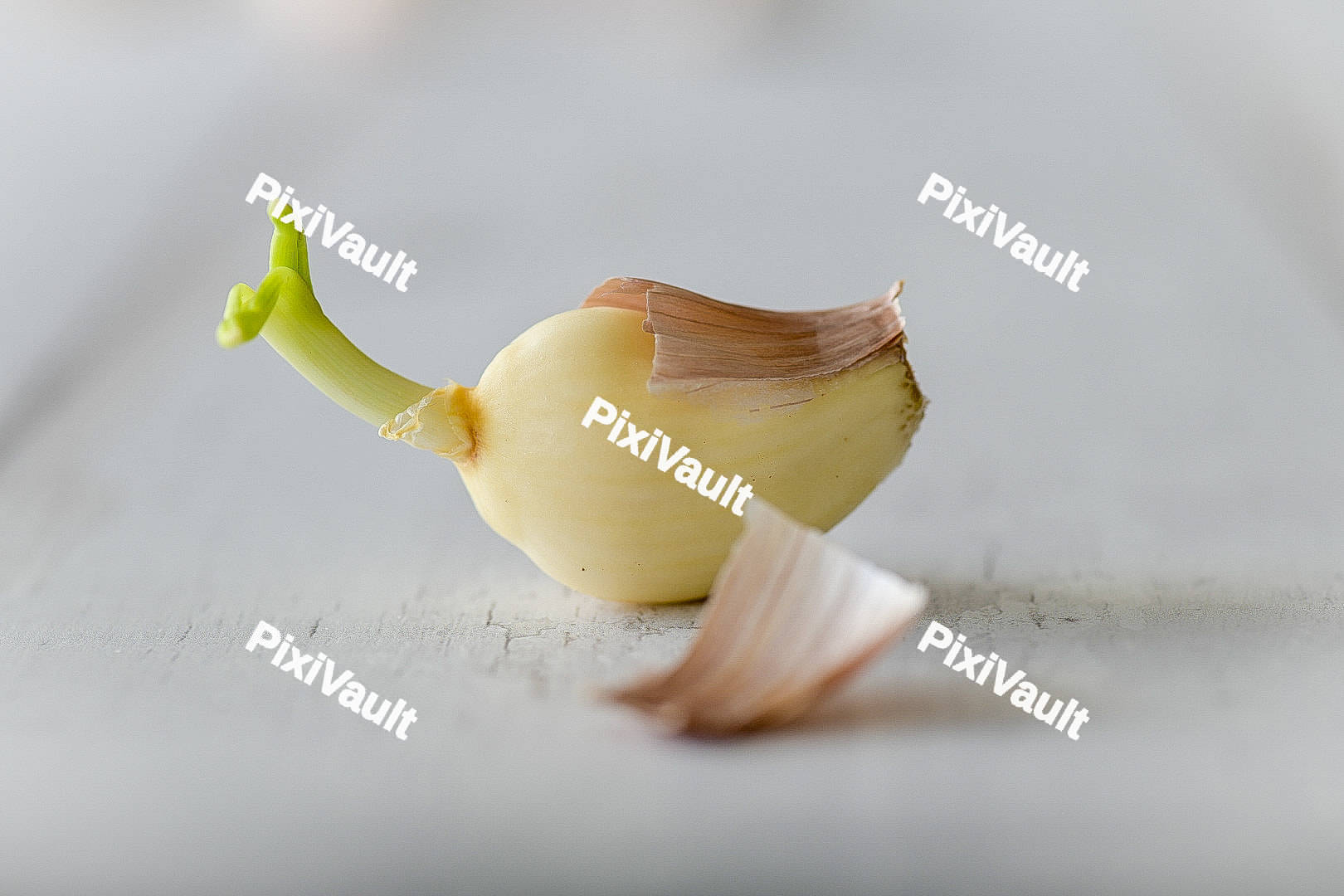 Peeled garlic with the root